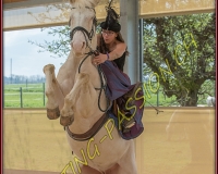 1AMAZONE- 0183